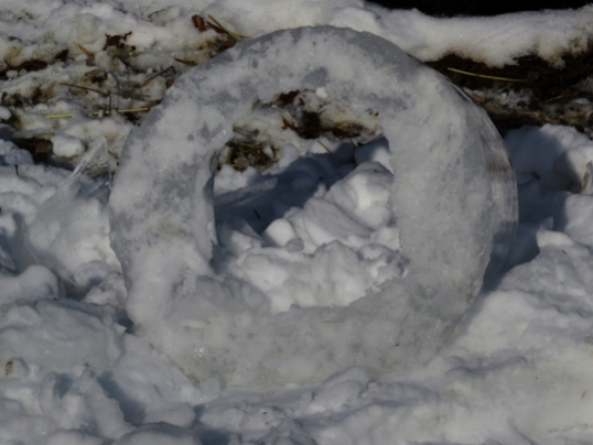 Ice wreath from the water bucket this morning.