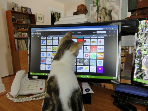 If it were a touch screen ... can you imagine the trouble he could get into!